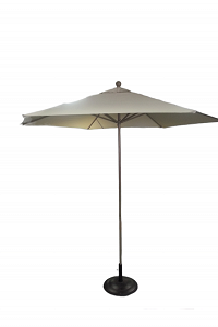 Market Umbrella