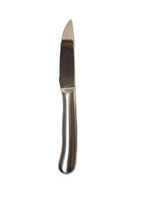 Stainless Steel Stake Knife